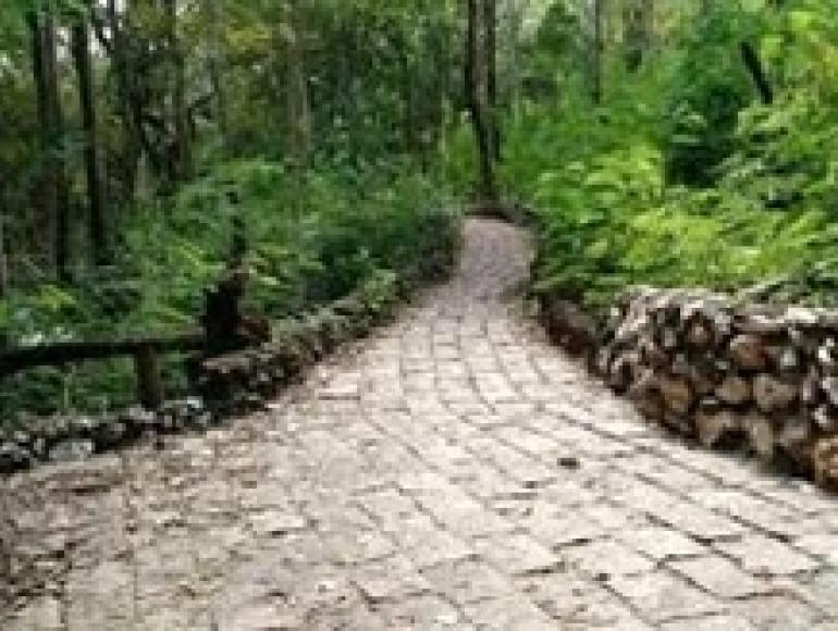 Parque Municipal Morro da Luz - Antonio Pires de Campos